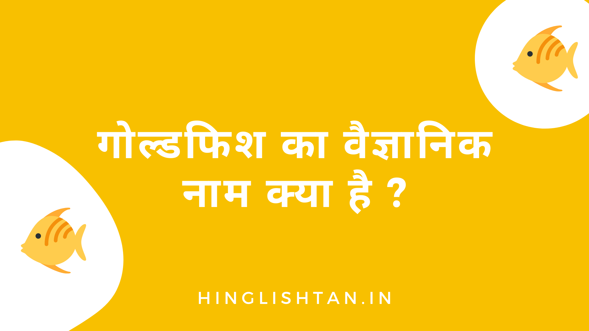 गोल्डफिश का वैज्ञानिक नाम क्या है ? | Goldfish ka Scientific Naam Kya hai